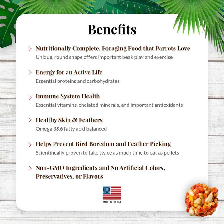 82650-tropical-fruit-nutri-berries-parrot-benefits