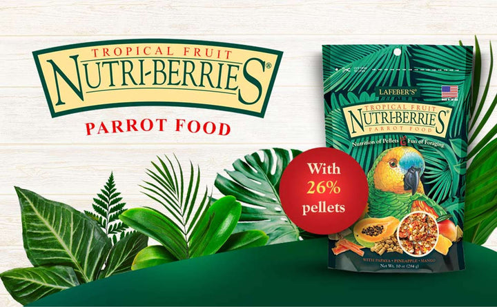 82650-tropical-fruit-nutri-berries-parrot-with-26-percent-pellets