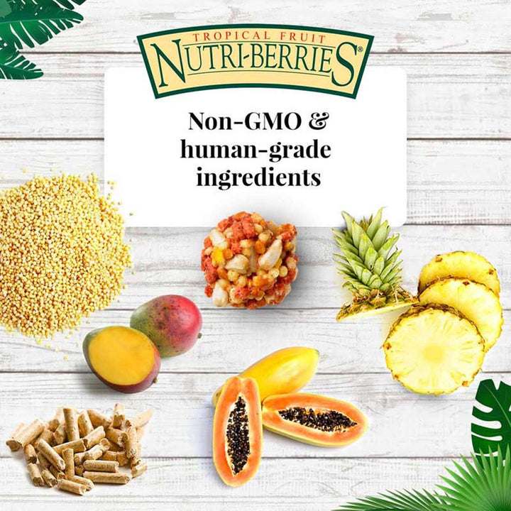 82652-tropical-fruit-nutri-berries-parrot-3lb-non-gmo-human-grade-ingredients