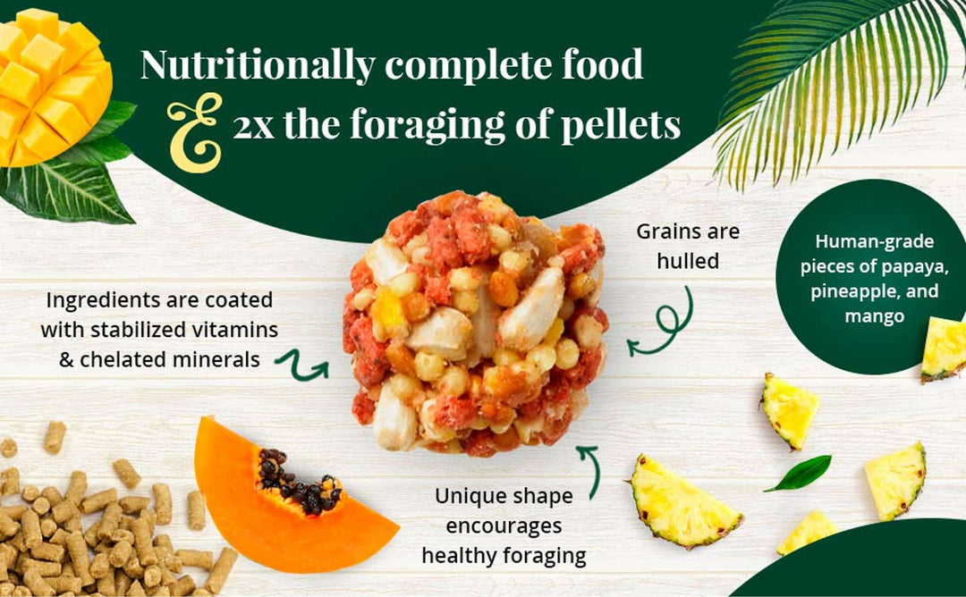 82652-tropical-fruit-nutri-berries-parrot-3lb-2x-the-foraging-of-pellets