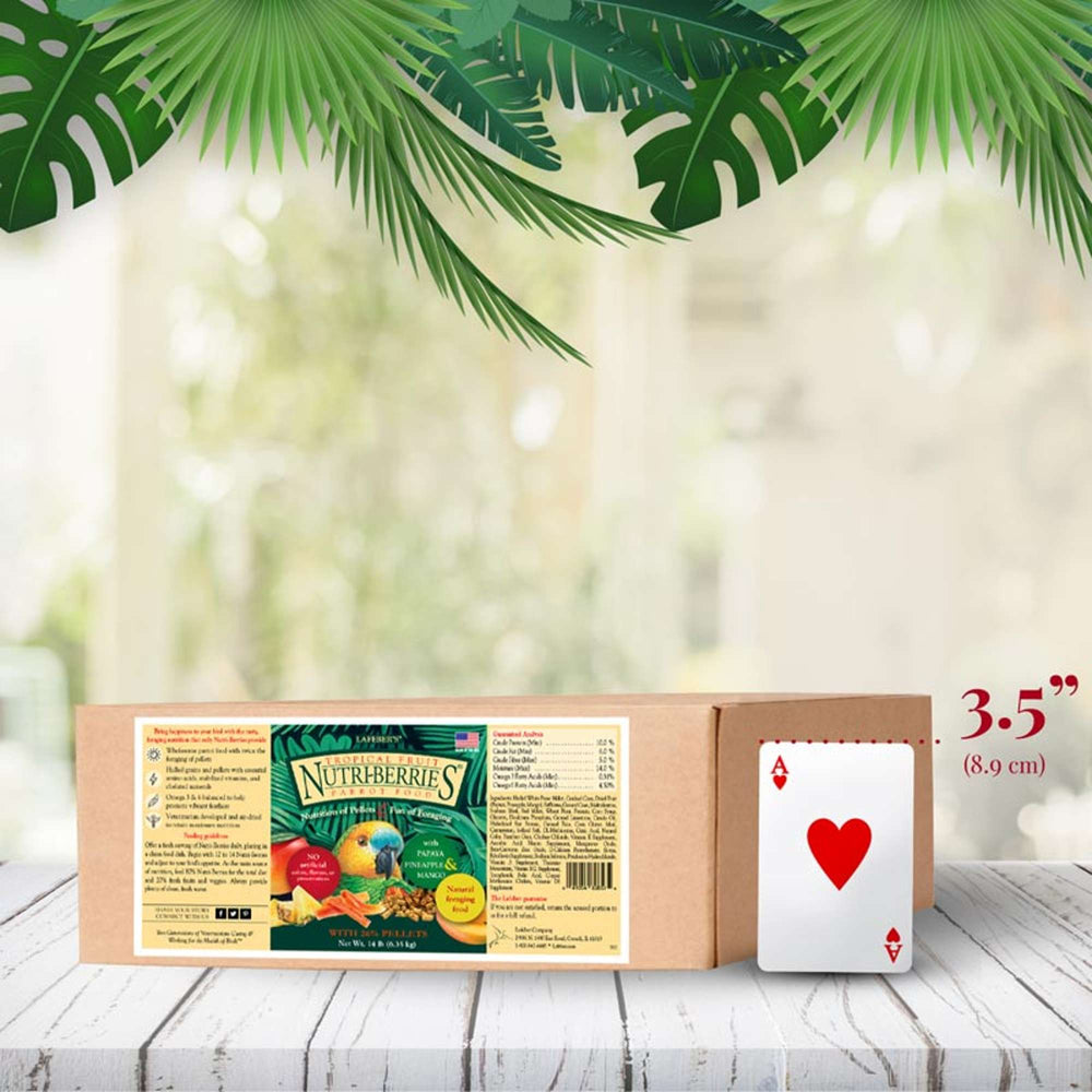 82657-tropical-fruit-nutri-berries-parrot-14lb-size