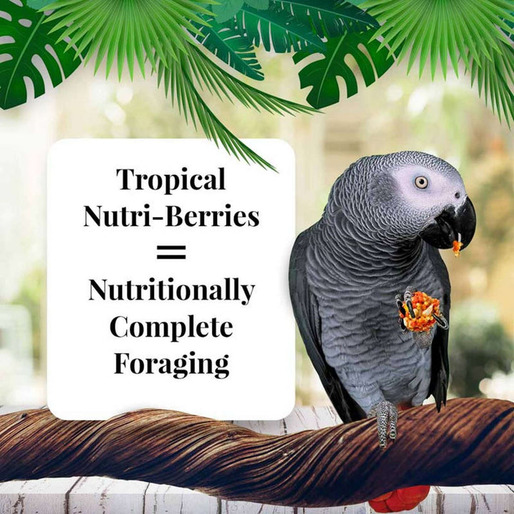 82657-tropical-fruit-nutri-berries-parrot-14lb-nutritionally-complete-foraging