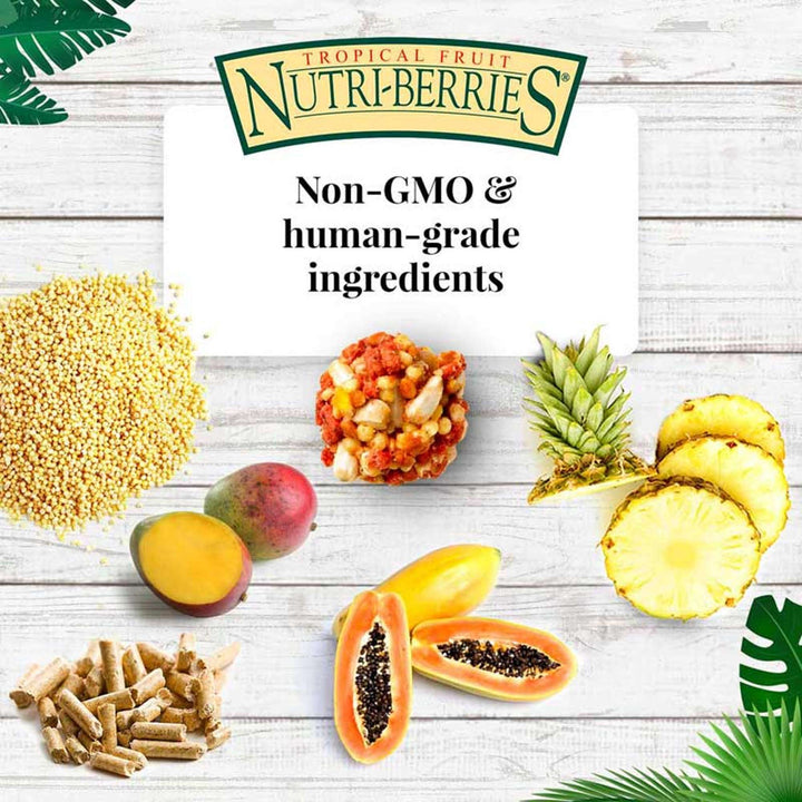 82657-tropical-fruit-nutri-berries-parrot-14lb-non-gmo-human-grade-ingredients