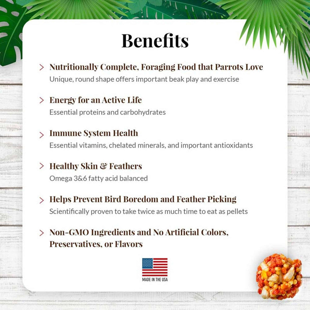 82657-tropical-fruit-nutri-berries-parrot-14lb-benefits