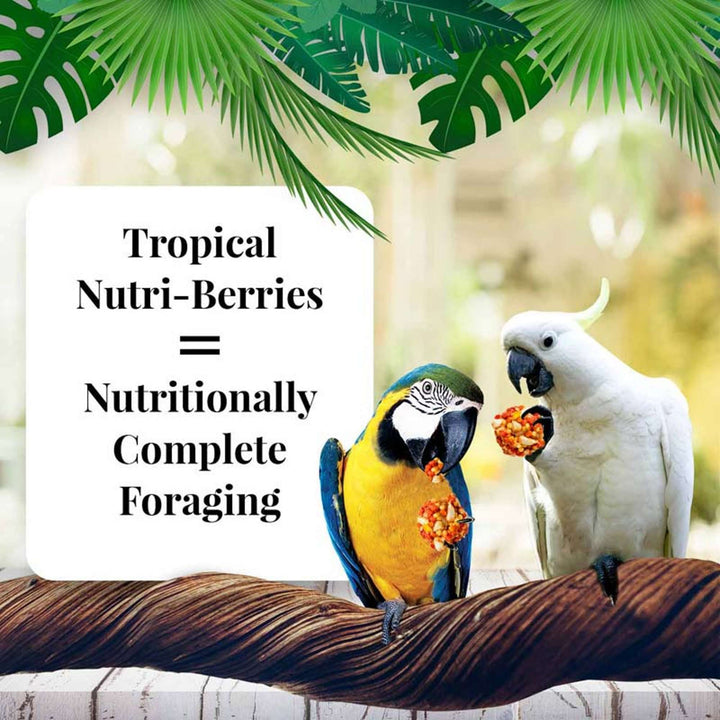 82660-tropical-fruit-nutri-berries-macaw-cockatoo-nutritionally-complete-foraging