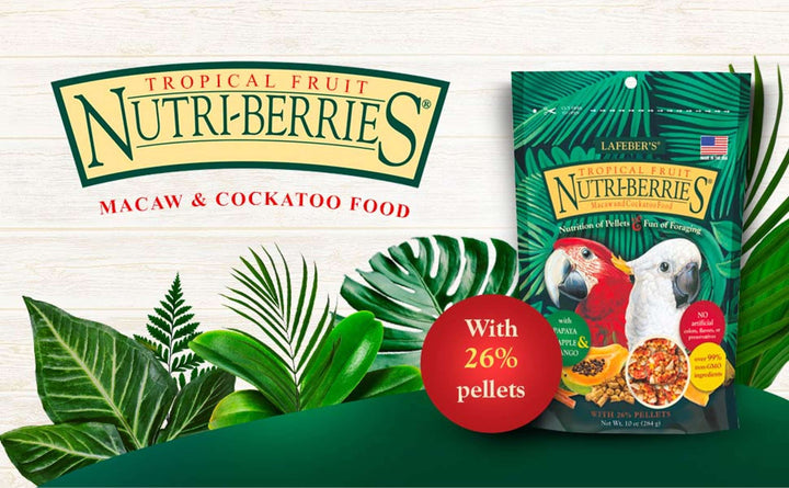 82660-tropical-fruit-nutri-berries-macaw-cockatoo-with-26%-pellets