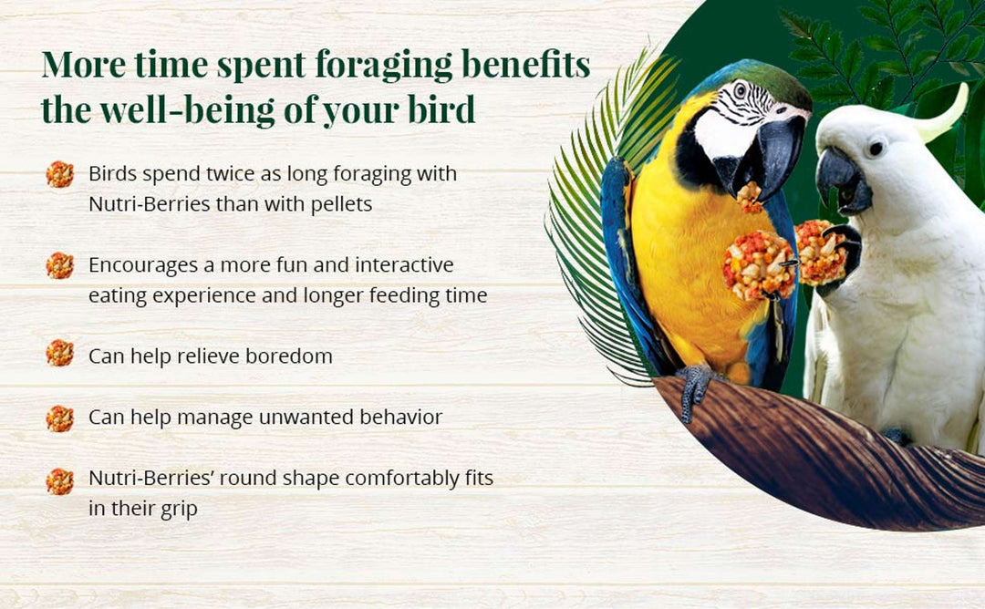82662-tropical-fruit-nutri-berries-macaw-cockatoo-3lb-more-time-spent-foraging-benefits-the-well-being-of-your-bird