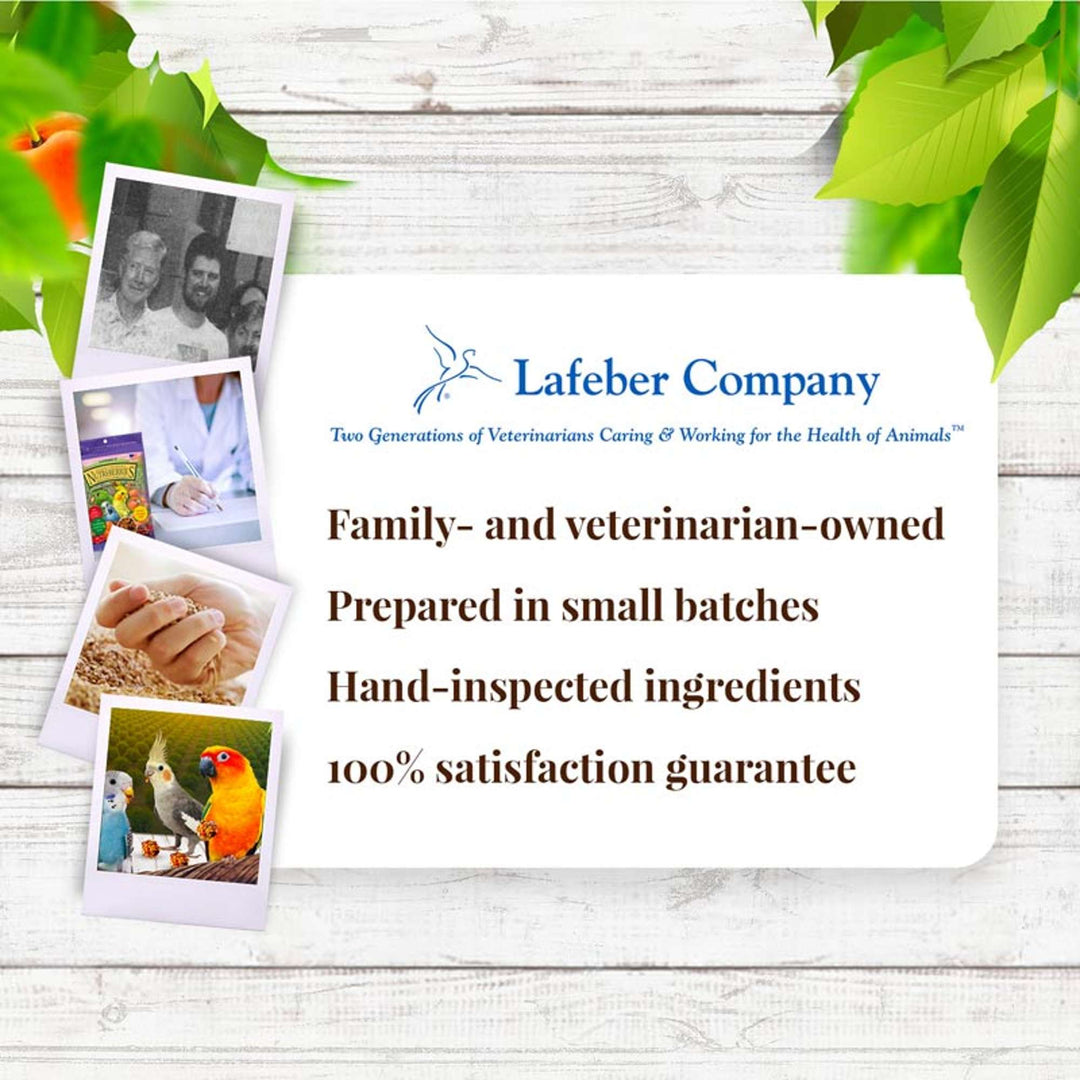 82840-sunny-orchard-nutri-berries-cockatiel-lafeber-company