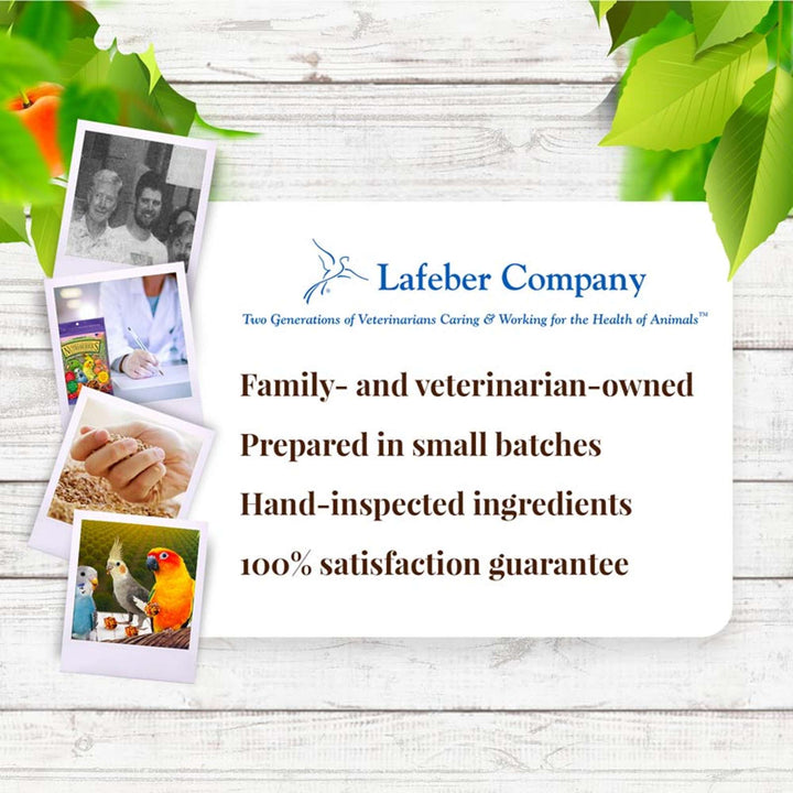 82840-sunny-orchard-nutri-berries-cockatiel-lafeber-company