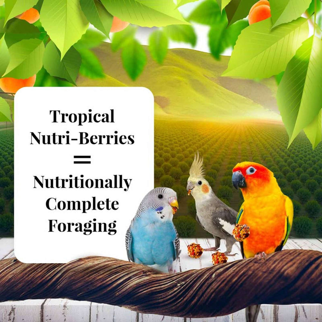 82840-sunny-orchard-nutri-berries-cockatiel-nutritionally-complete-foraging
