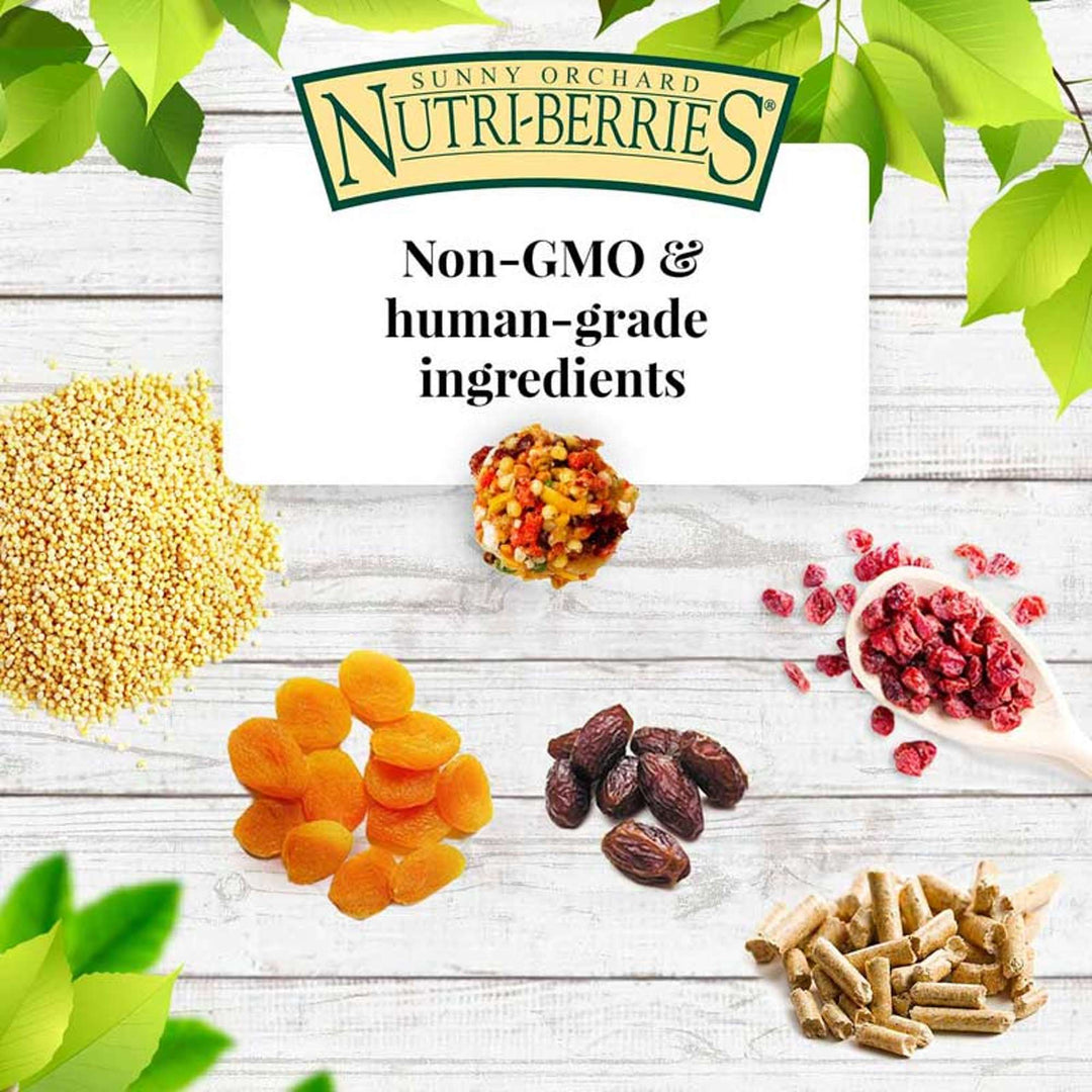 82840-sunny-orchard-nutri-berries-cockatiel-non-gmo-human-grade-ingredient