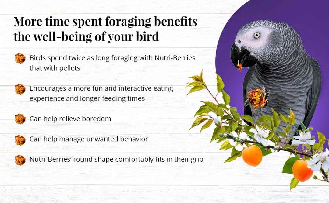 82850-sunny-orchard-nutri-berries-parrot-foraging-benefits-well-being-of-your-bird