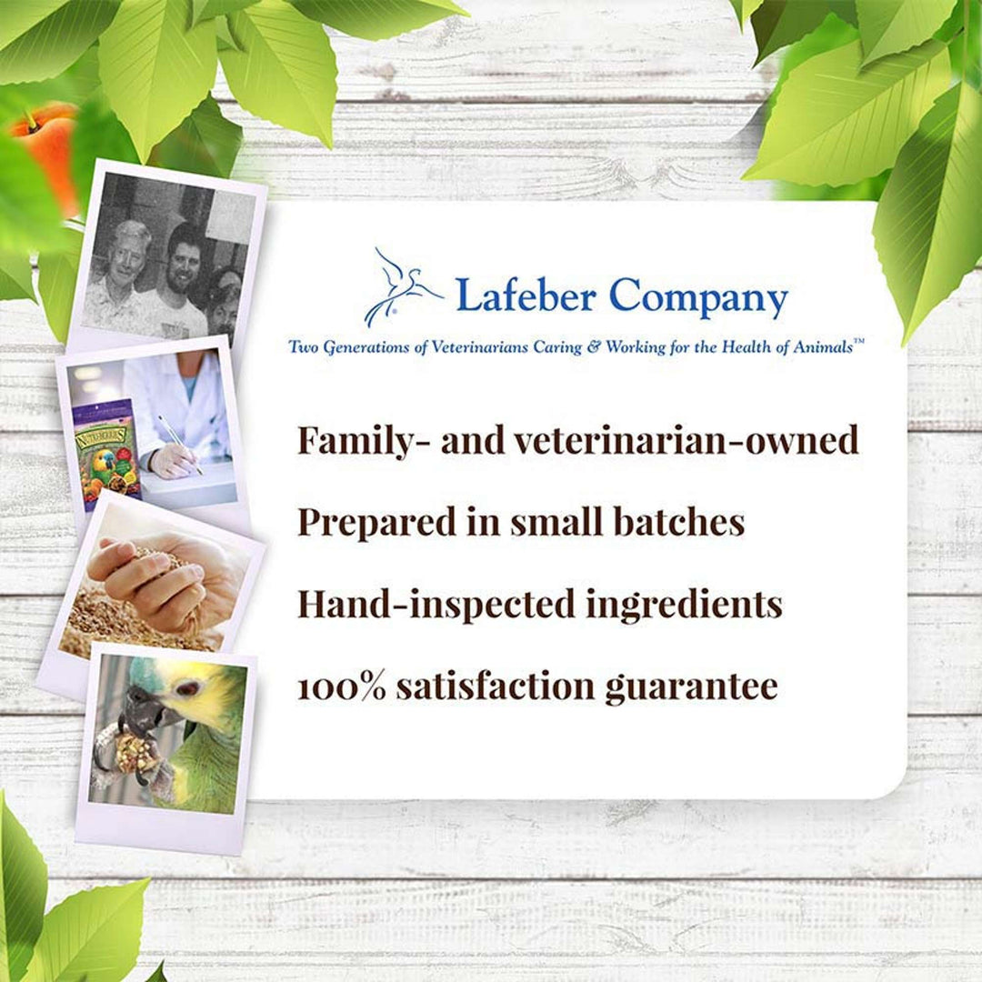 82850-sunny-orchard-nutri-berries-parrot-lafeber-company