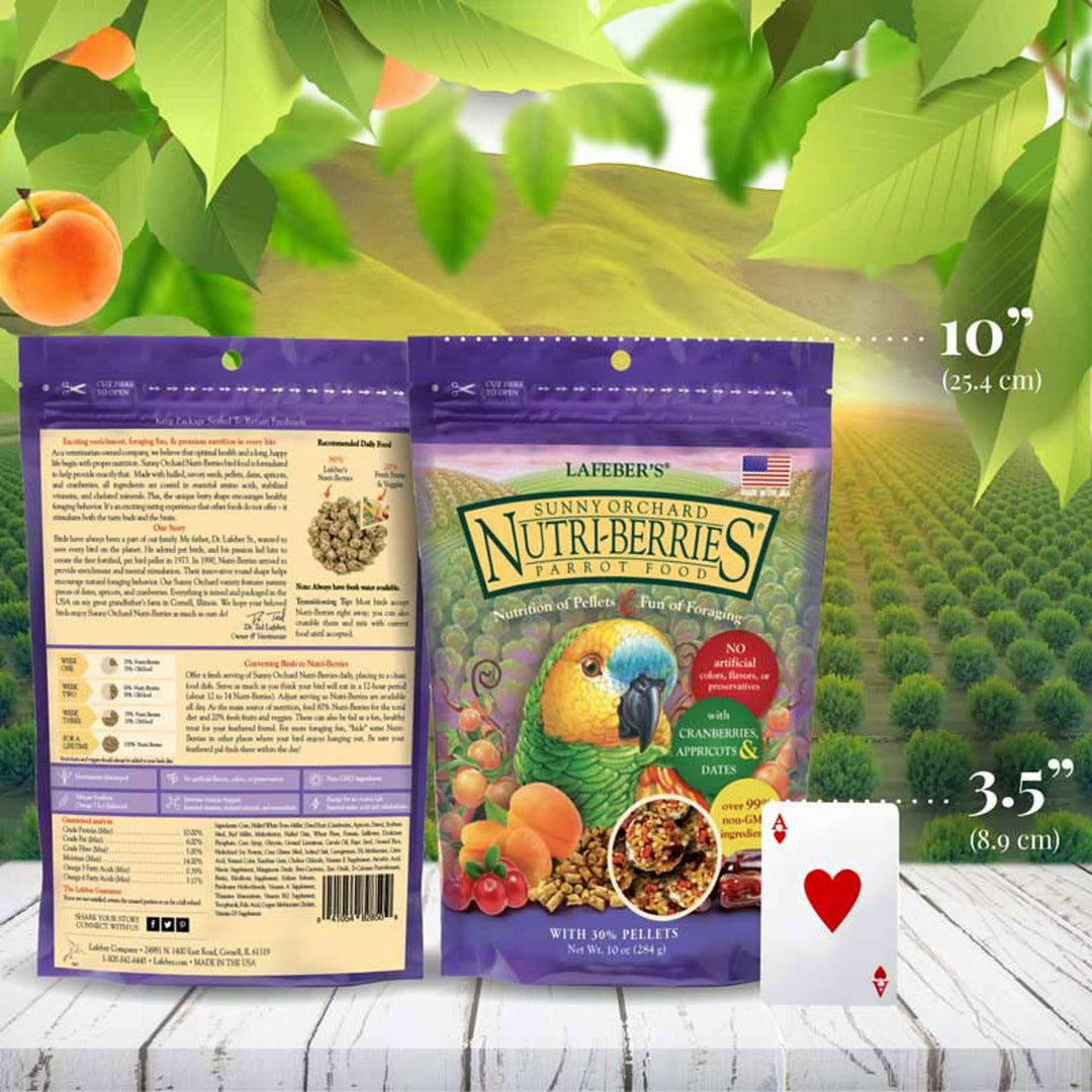 82850-sunny-orchard-nutri-berries-parrot-size