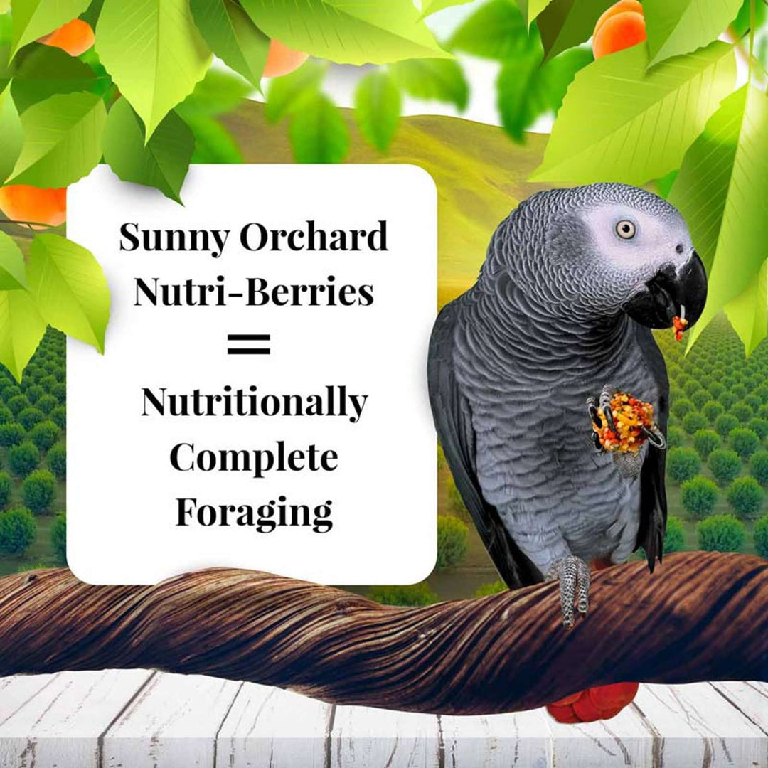 82857-sunny-orchard-nutri-berries-parrot-14lb-nutritionally-complete-foraging