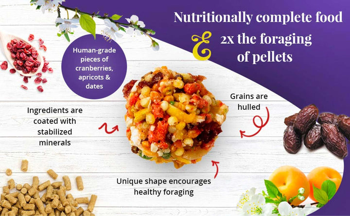 82857-sunny-orchard-nutri-berries-parrot-14lb-nutritionally-complete-foraging-food-2x-the-foraging-of-pellets