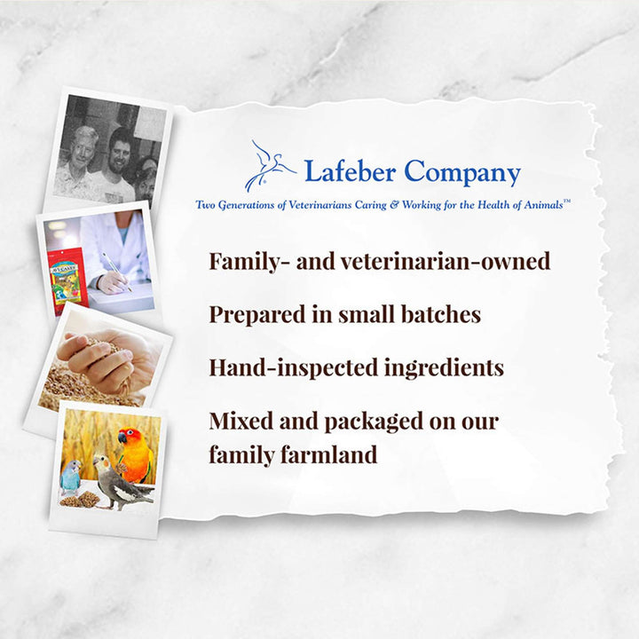 86014-classic-avi-cakes-parakeet-cockatiel-lafeber-company