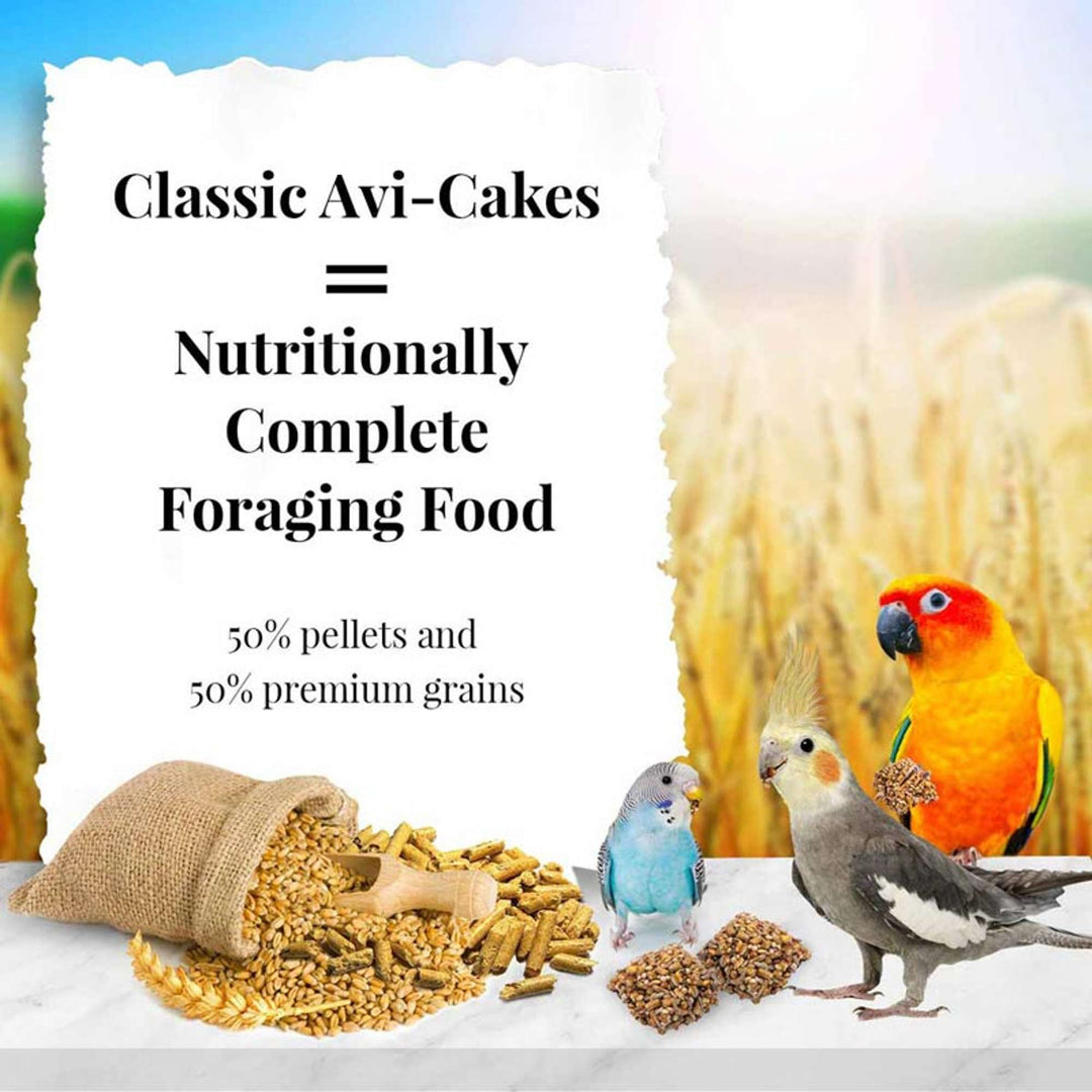 86014-classic-avi-cakes-parakeet-cockatiel-nutritionally-complete-foraging-food
