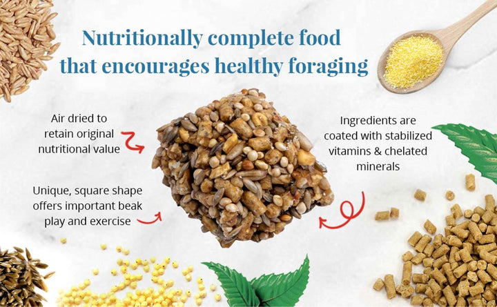 86014-classic-avi-cakes-parakeet-cockatiel-nutritionally-complete-food-that-encourages-healthy-foraging