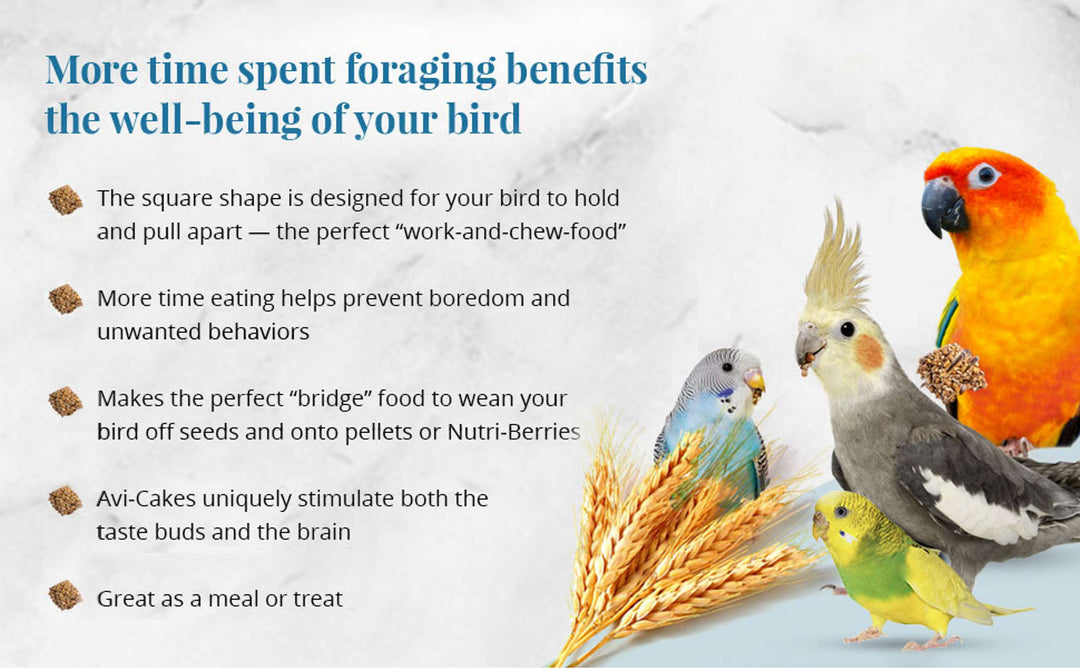 86014-classic-avi-cakes-parakeet-cockatiel-more-time-spent-foraging-benefits-the-well-being-of-your-bird