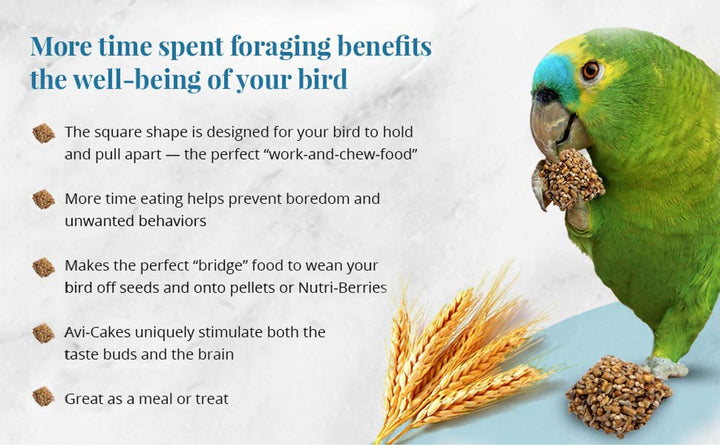 86030-classic-avi-cakes-parrot-foraging-benefits-well-being-of-your-bird