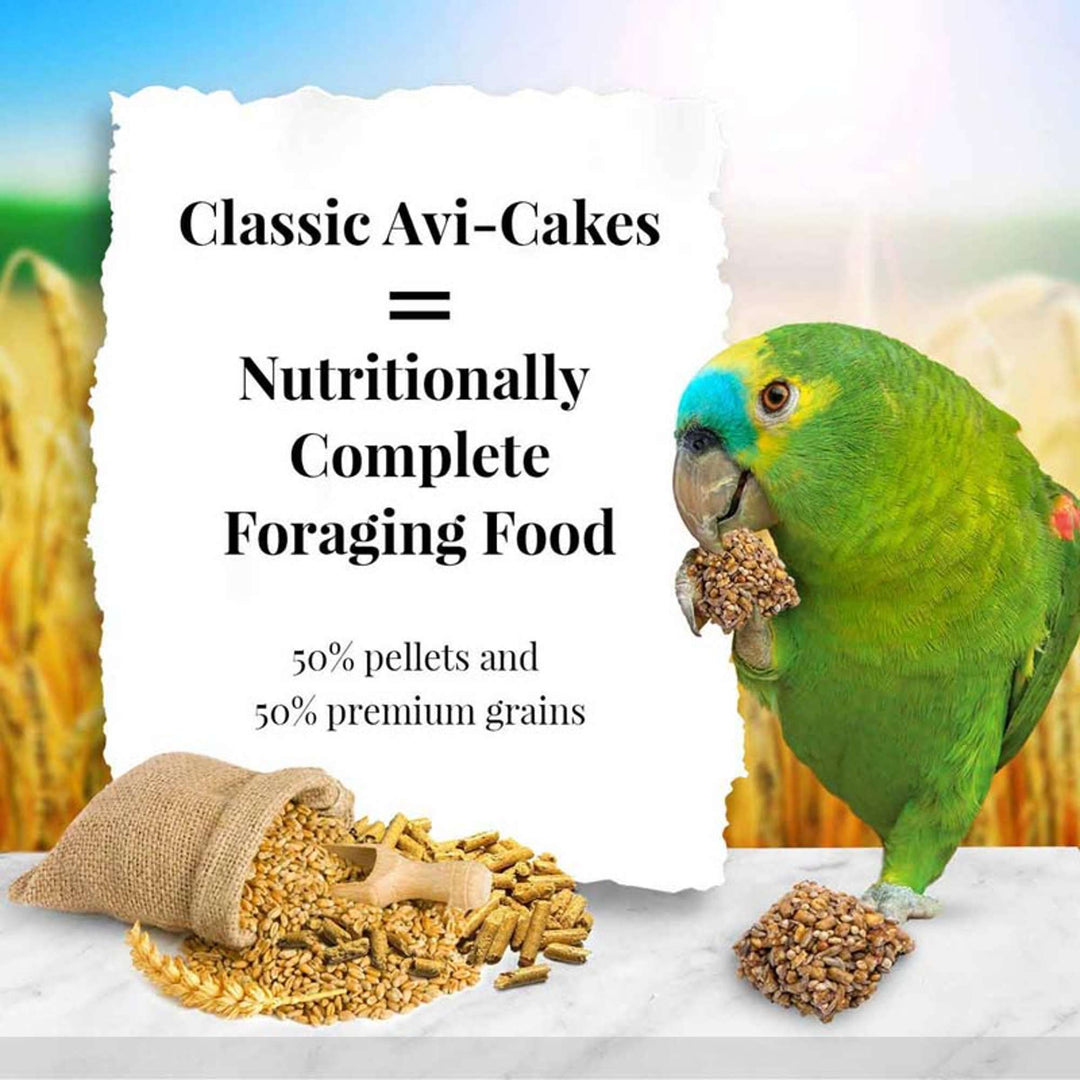 86030-classic-avi-cakes-parrot-nutritionally-complete-foraging