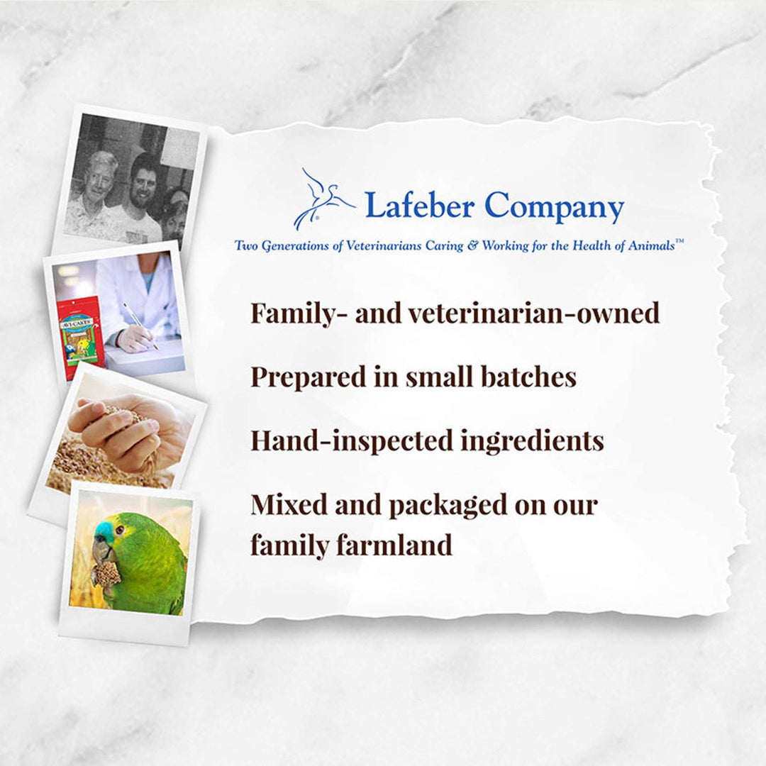 86034-classic-avi-cakes-parrot-lafeber-company