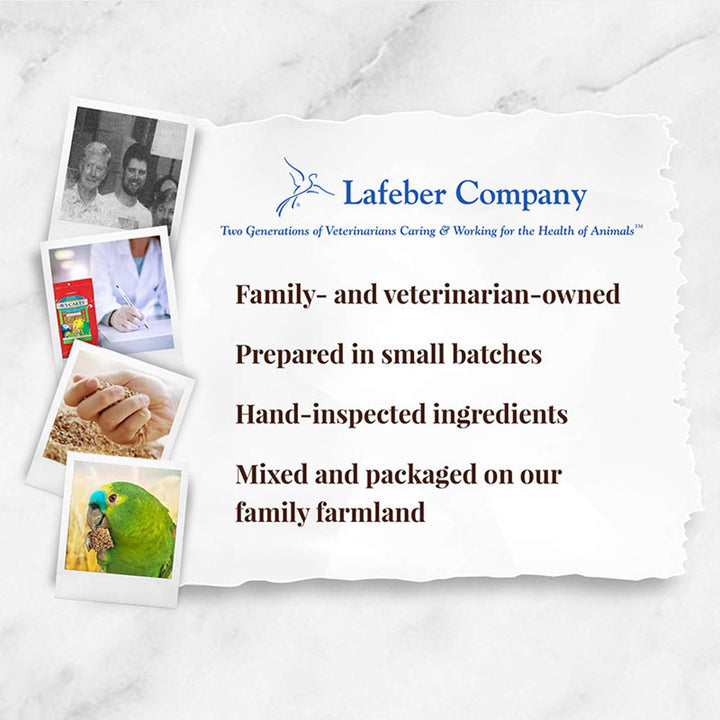 86034-classic-avi-cakes-parrot-lafeber-company