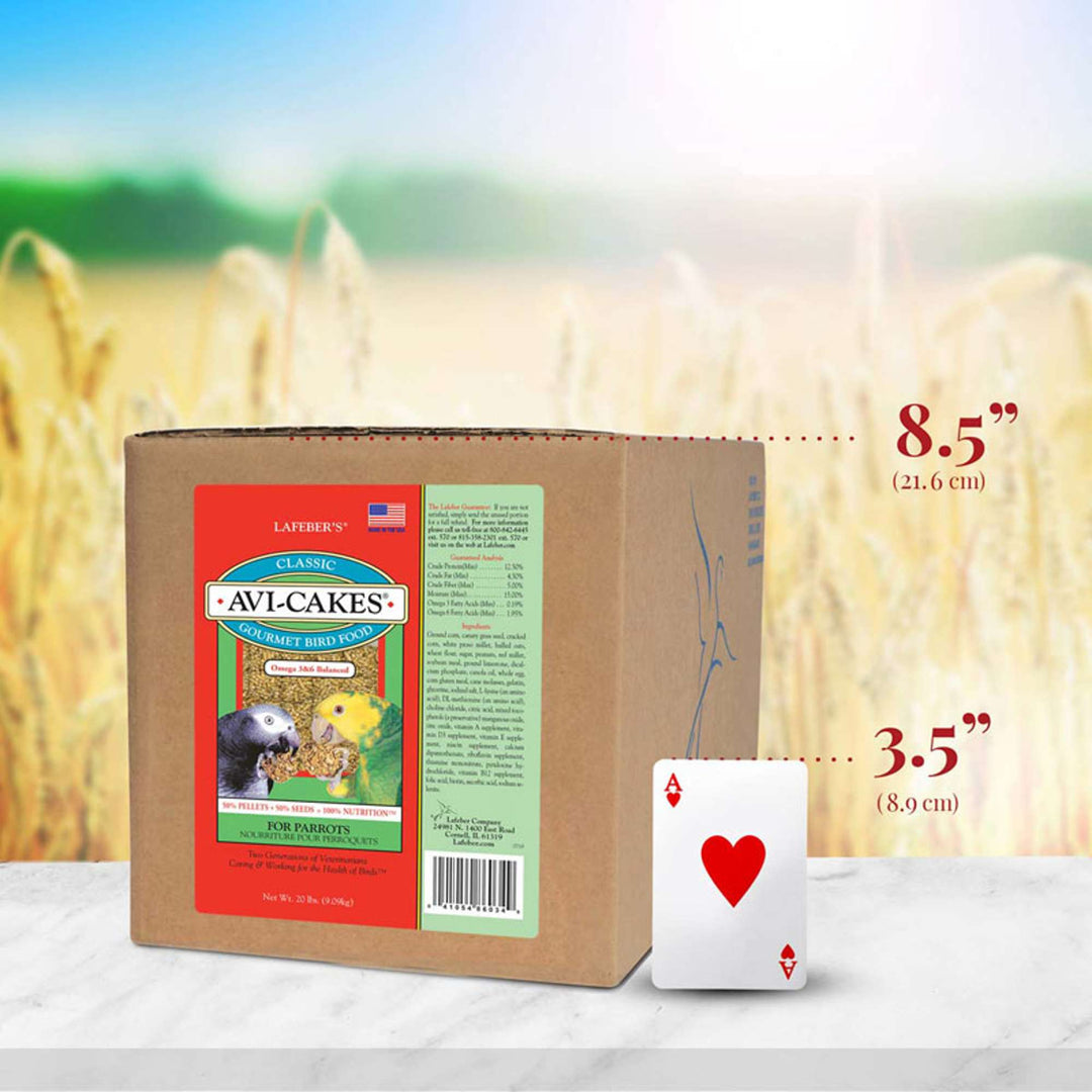 86034-classic-avi-cakes-parrot-size