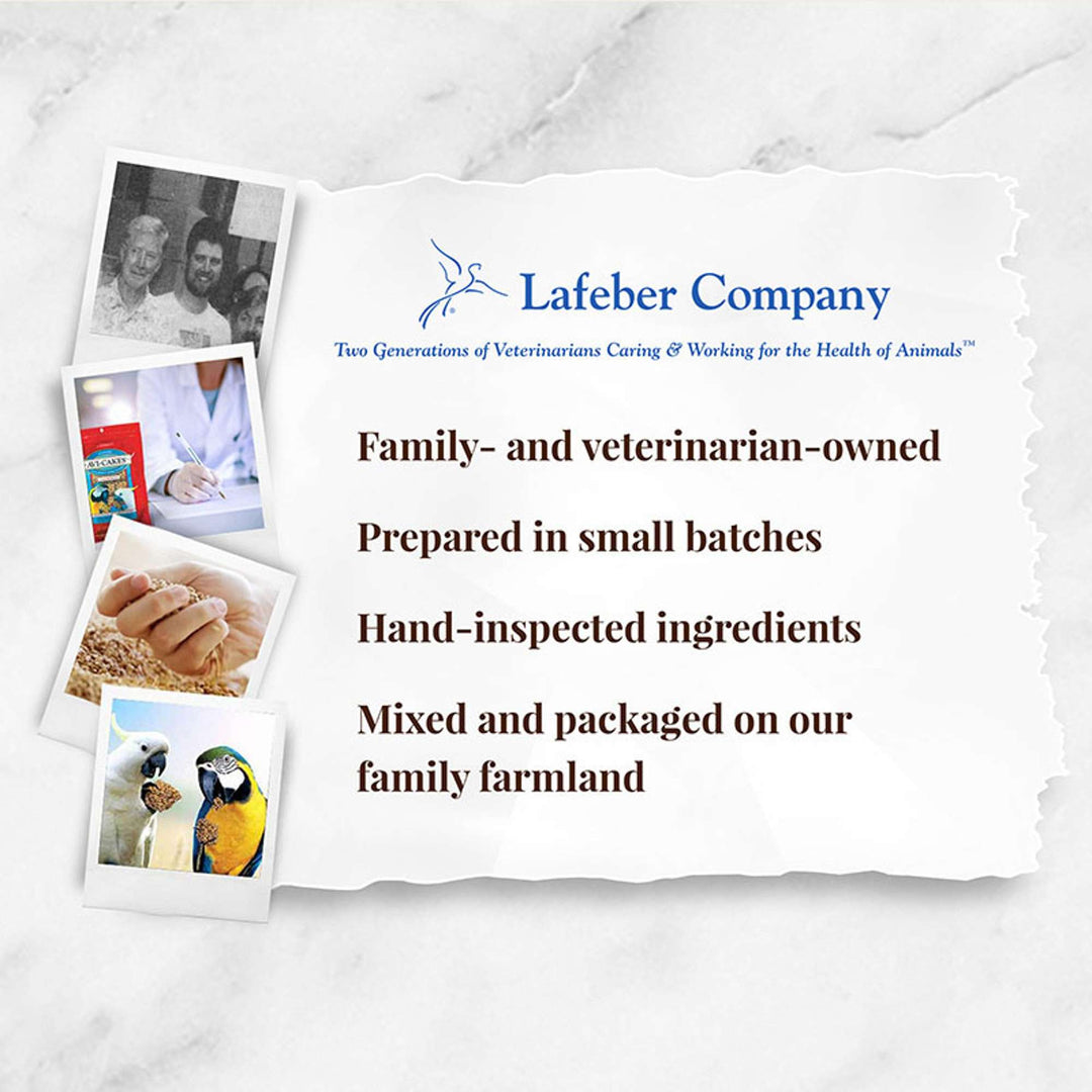 86050-parrot-food-lafeber-classic-avi-cakes-macaw-cockatoo-food-lafeber-company