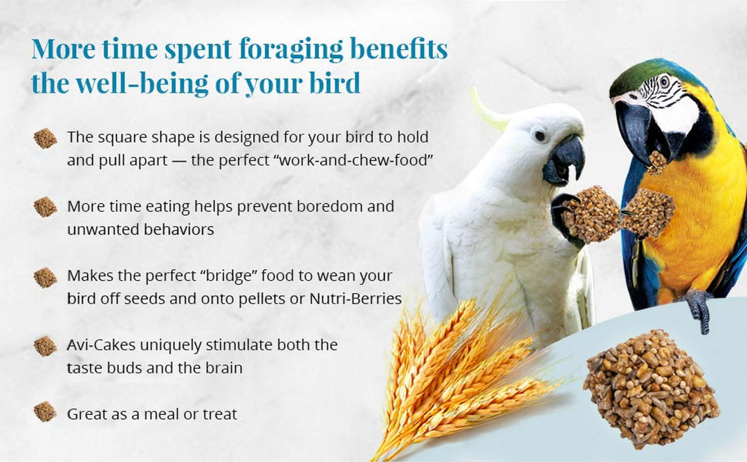 86050-parrot-food-lafeber-classic-avi-cakes-macaw-cockatoo-food-foraging-benefits-well-being-of-your-bird
