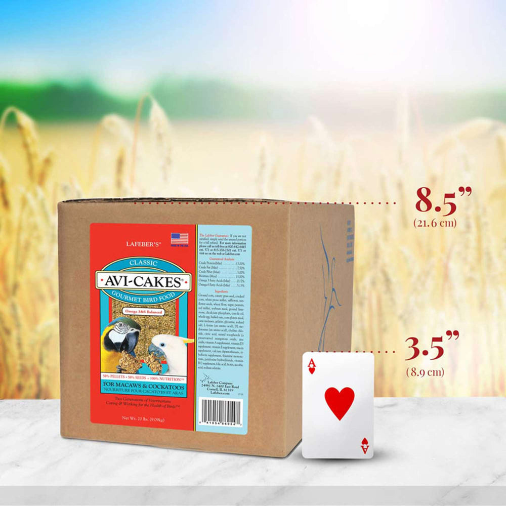86054-classic-avi-cakes-macaw-size