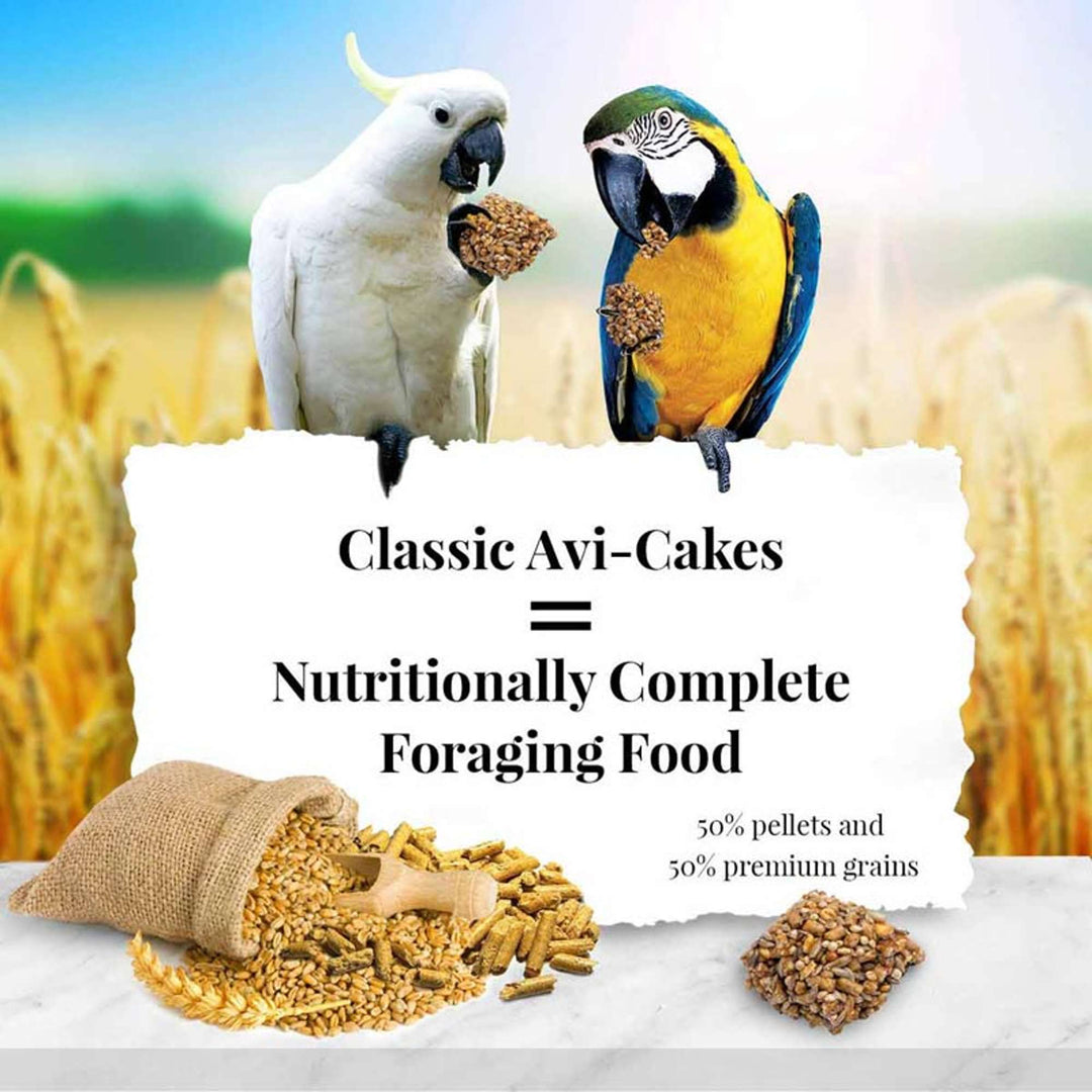 86054-classic-avi-cakes-macaw-nutritionally-complete-foraging-food