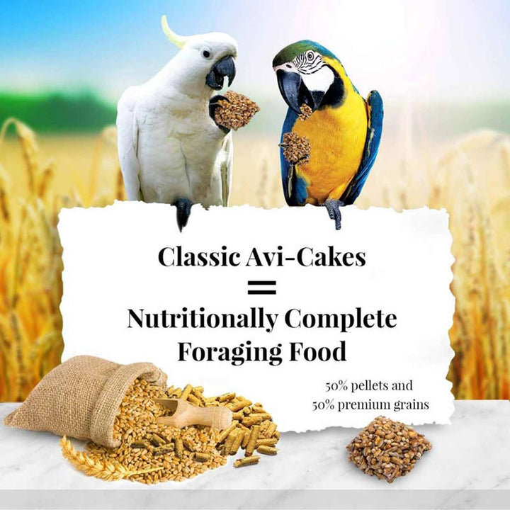 86054-classic-avi-cakes-macaw-nutritionally-complete-foraging-food