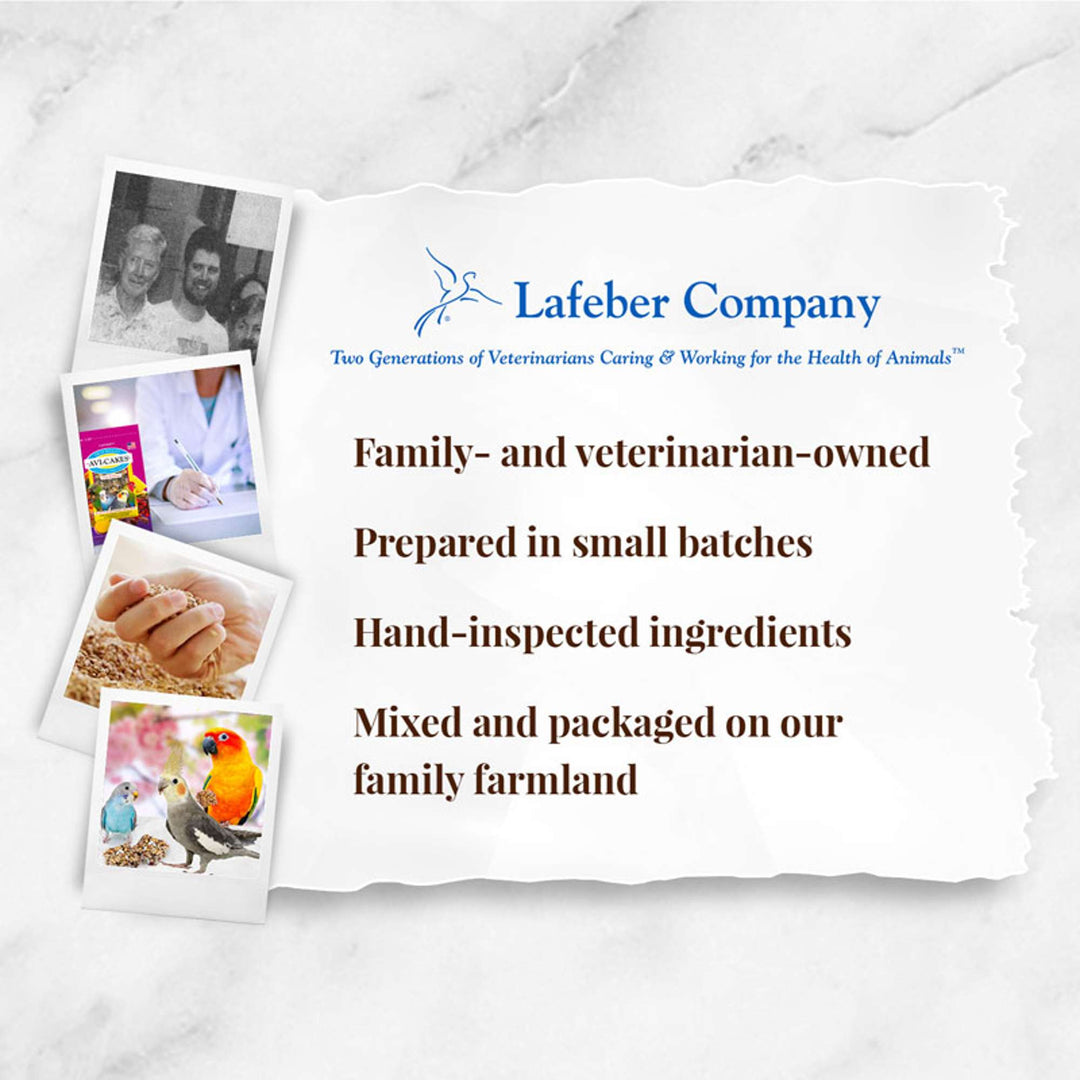 86210-fruit-delight-avi-cakes-cockatiel-lafeber-company