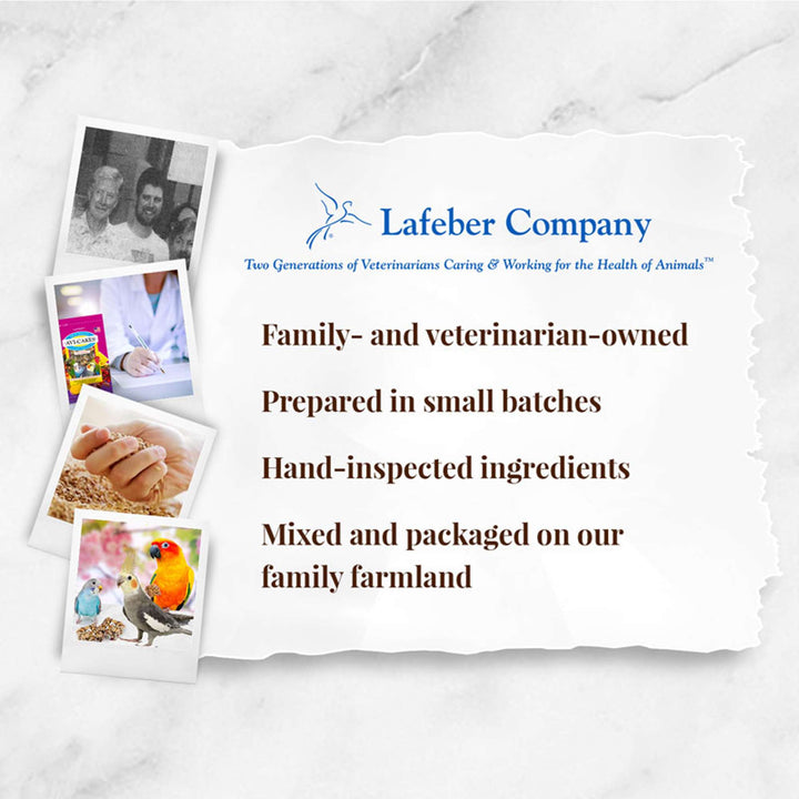 86210-fruit-delight-avi-cakes-cockatiel-lafeber-company