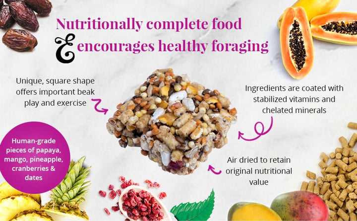 86210-fruit-delight-avi-cakes-cockatiel-nutritionally-complete-food-encourages-healthy-foraging