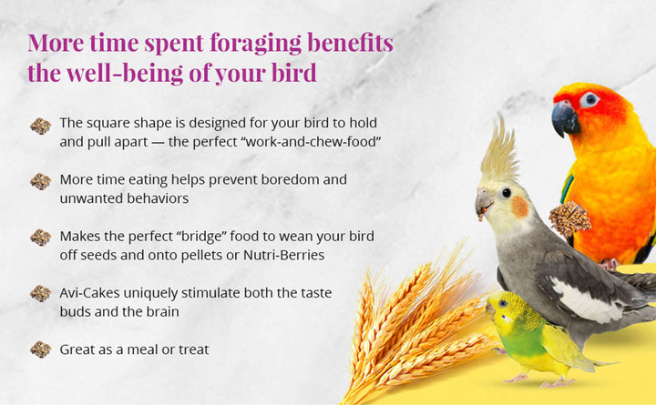 86210-fruit-delight-avi-cakes-cockatiel-more-time-spent-foraging-benefits-the-well-being-of-your-bird