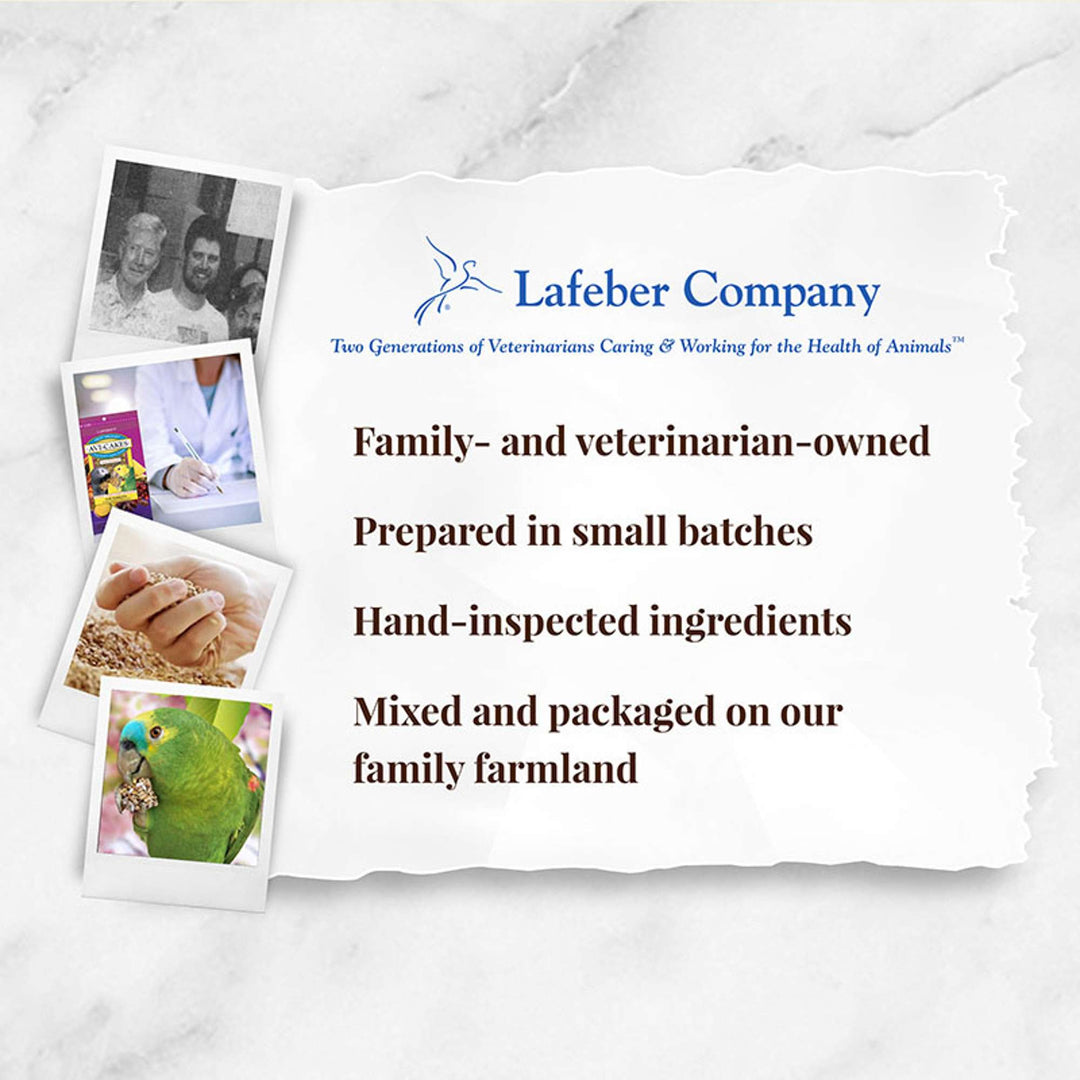 86230-parrot-food-lafeber-fruit-delight-avi-cakes-parrot-food-lafeber-company