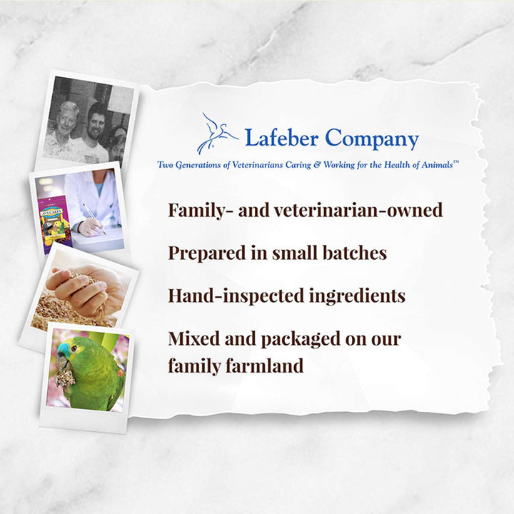 86230-parrot-food-lafeber-fruit-delight-avi-cakes-parrot-food-lafeber-company