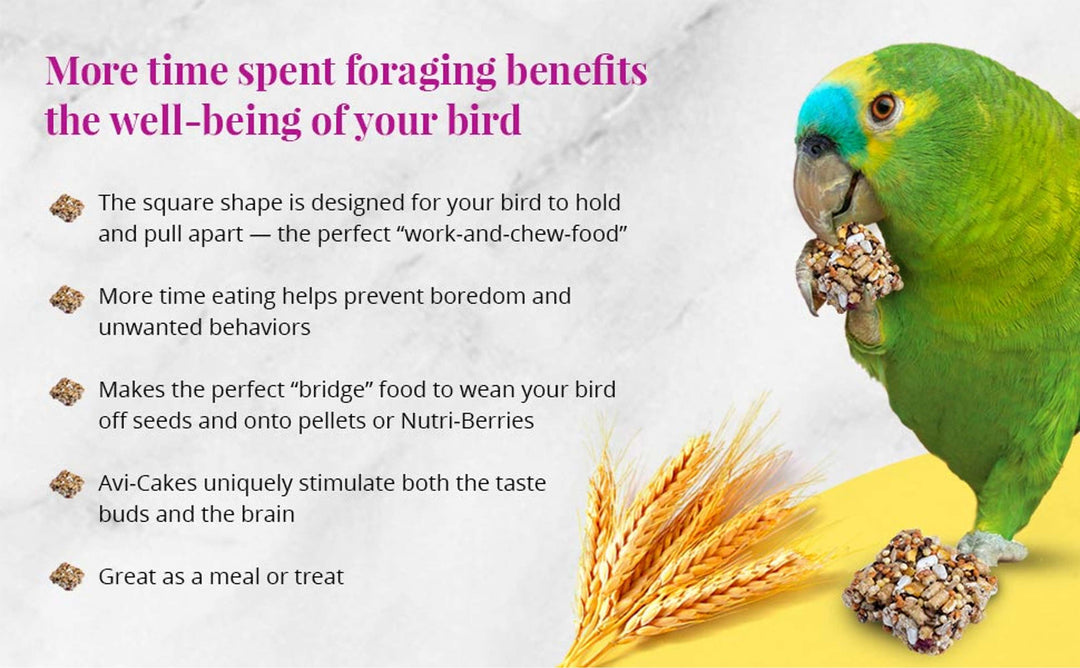 86230-parrot-food-lafeber-fruit-delight-avi-cakes-parrot-food-more-time-spent-foraging-benefits-the-well-being-of-your-bird