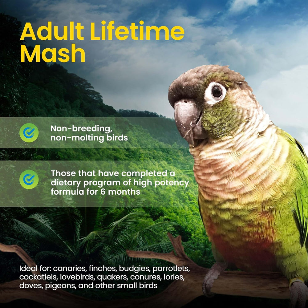 Parrot on a branch with details about 'Adult Lifetime Mash' for birds against a forest background