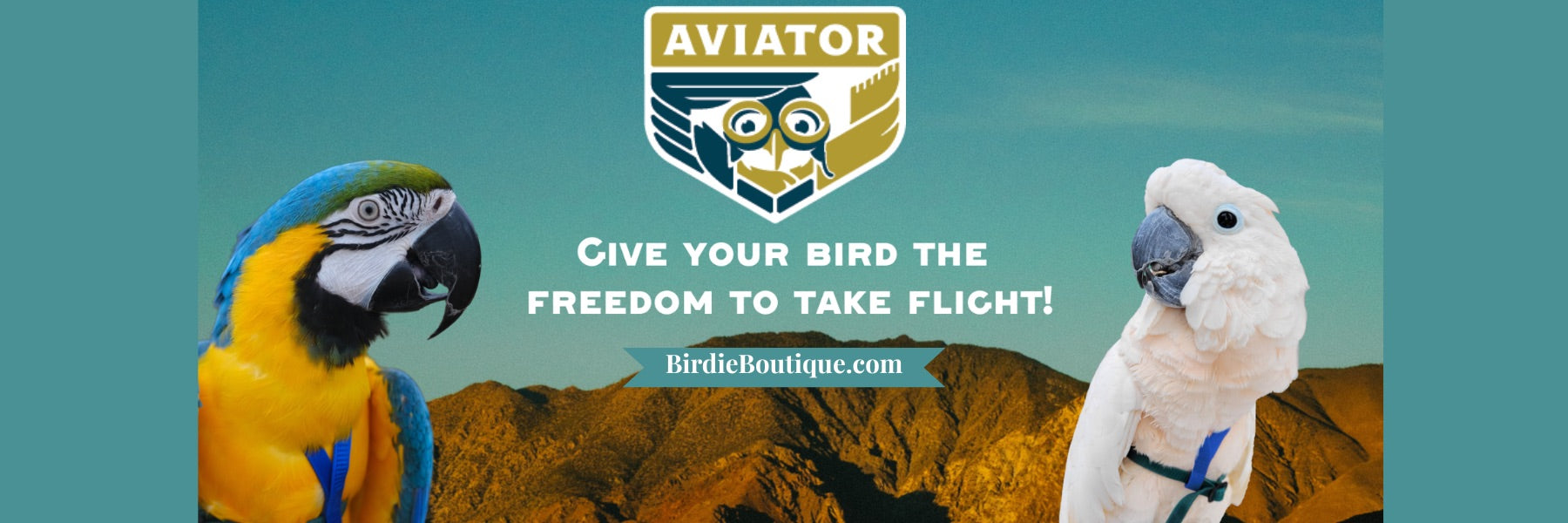 Aviator Harness Banner 1800x600