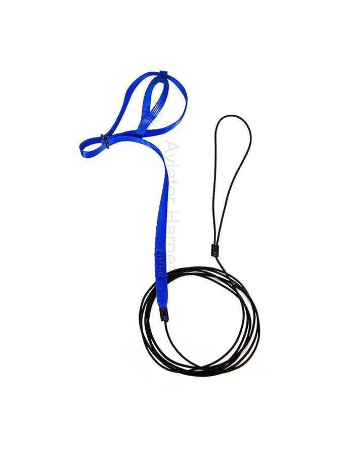 The Aviator Bird Harness & Leash, Blue, Mini