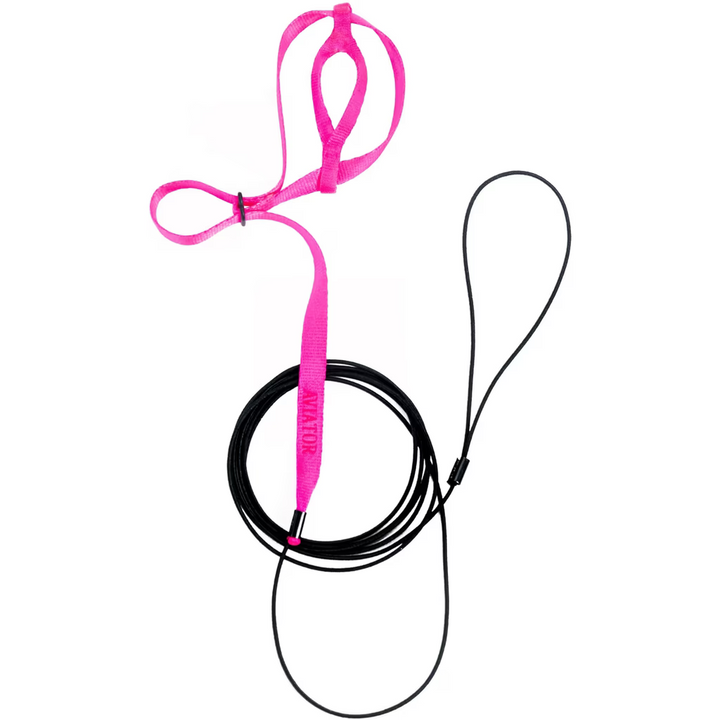 Aviator Pet Bird Harness and Leash, Mini pink