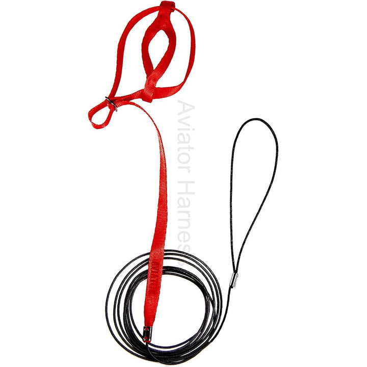 Aviator Pet Bird Harness and Leash, Mini Red