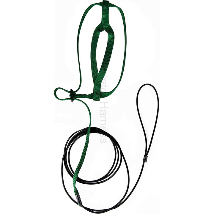 Aviator Harness and leash image small green