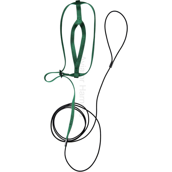 Aviator Harness and leash image small green