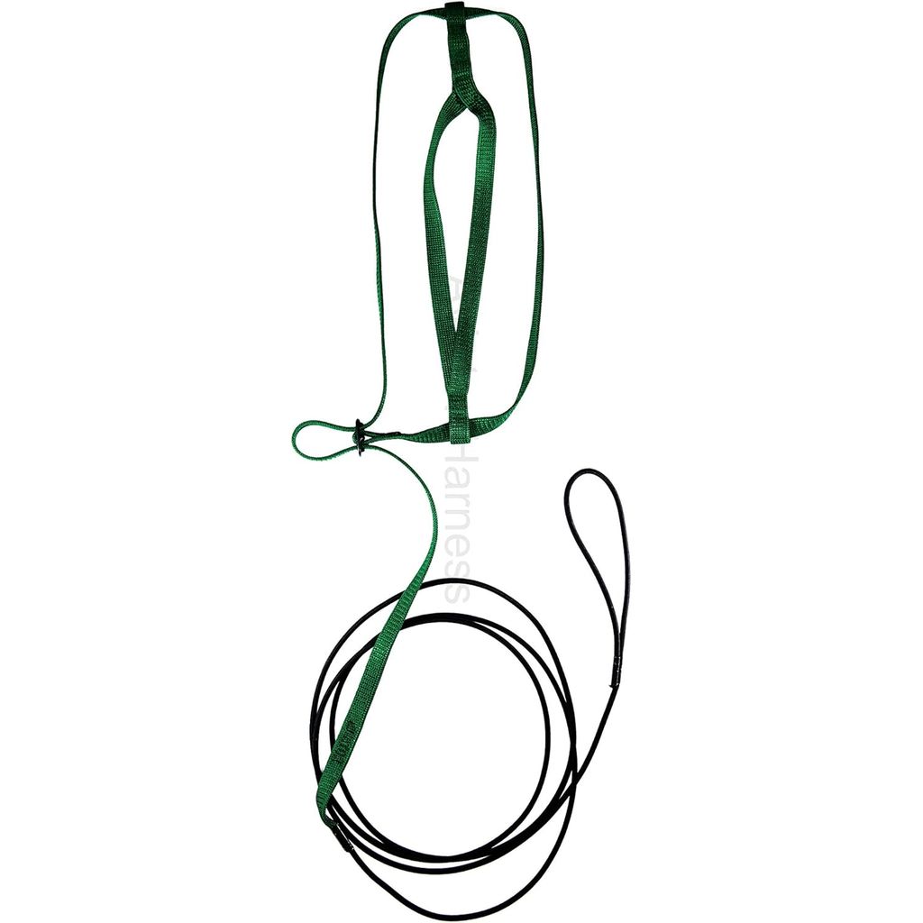 Green Aviator harness and leash set on a white background