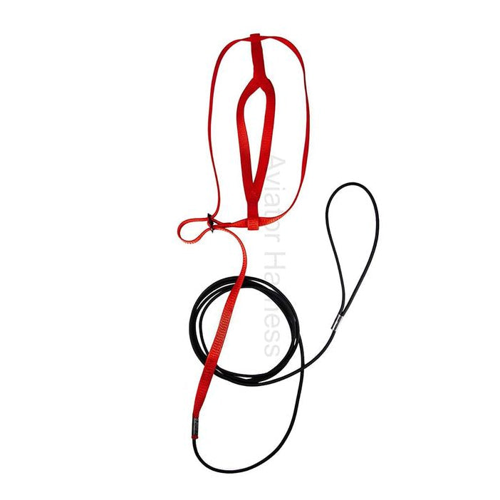 Red Aviator harness and leash set on a white background